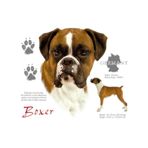 BOXER (7858)