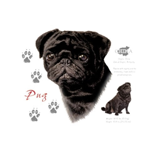 PUG (7862)