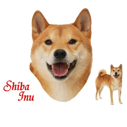 SHIBA INU (00 1796)