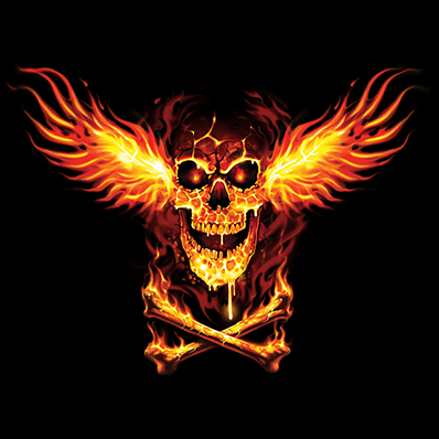 SKULL FIRE WINGS (807)
