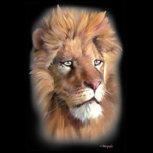 LION HEAD (953A)
