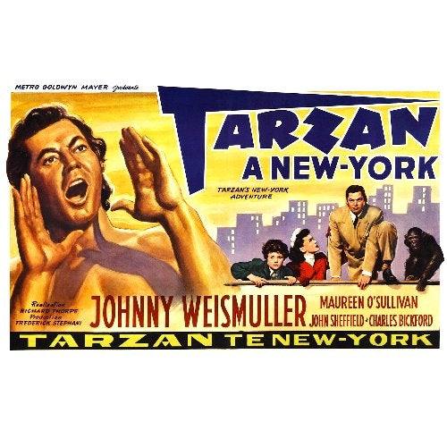 Paitakuva - Tarzan (00 630)