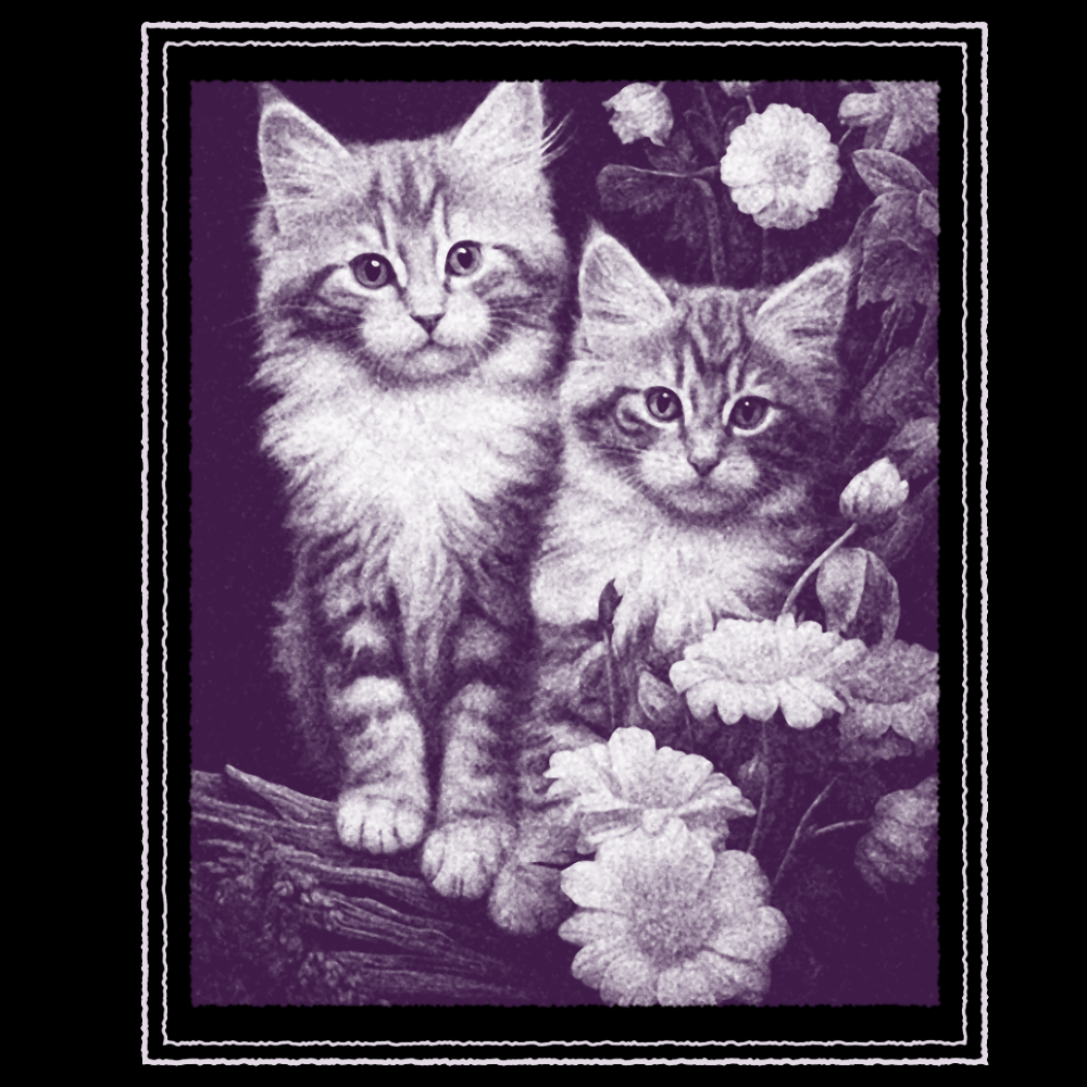 PAITAKUVA - KISSAT JA KUKAT (00 903)