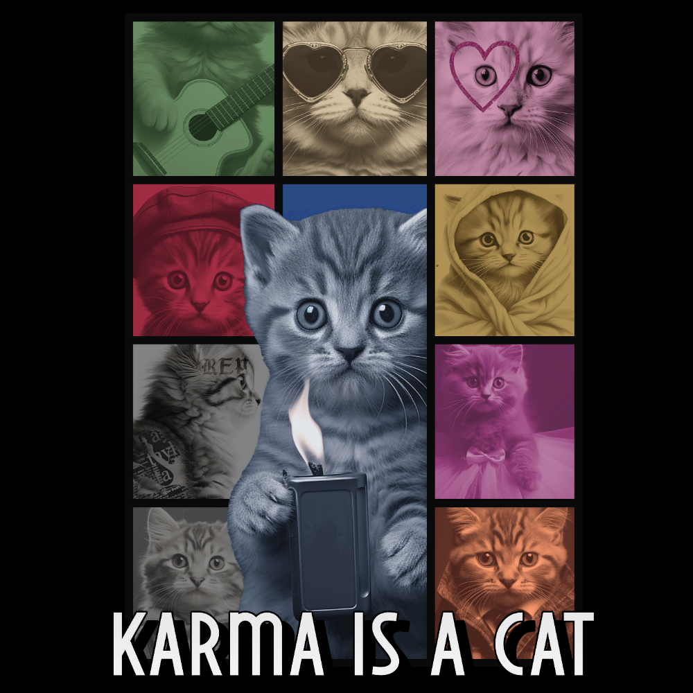 PAITAKUVA - KARMA IS A CAT (2747)