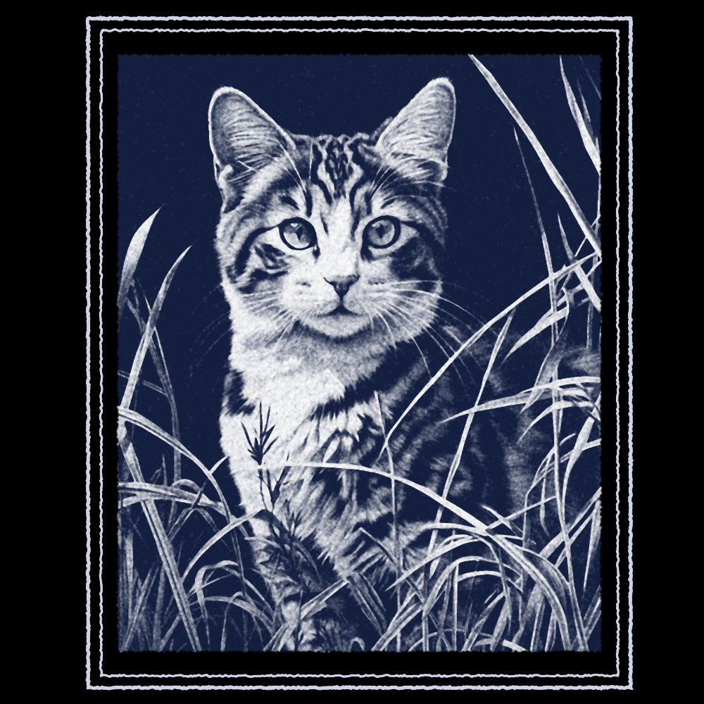 PAITAKUVA - KISSA RUOHIKOSSA (2744)