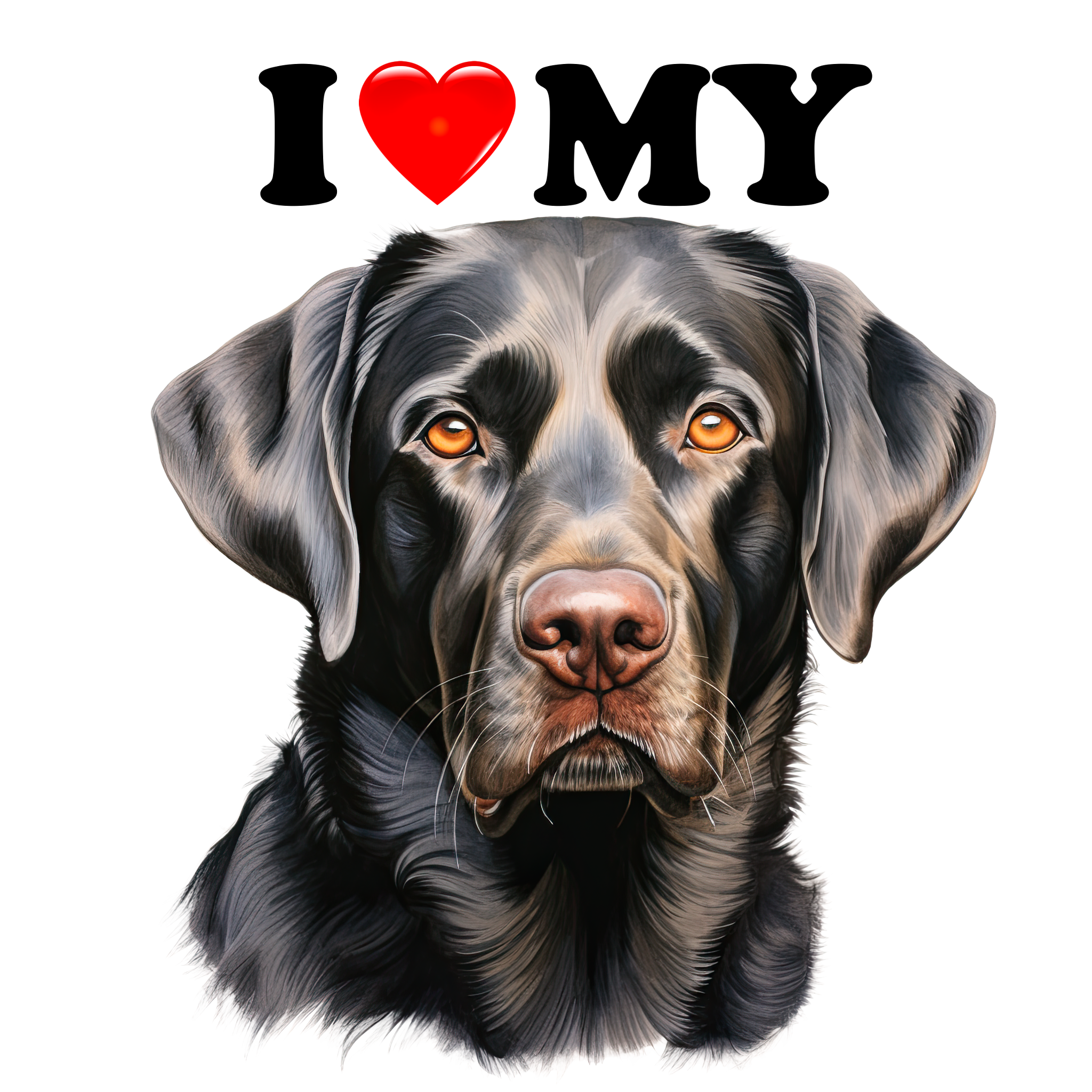 LABRATORINNOUTAJA I LOVE MY 11