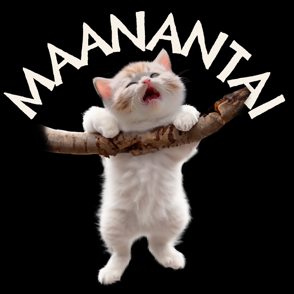 T-PAITA MUSTA - MAANANTAI