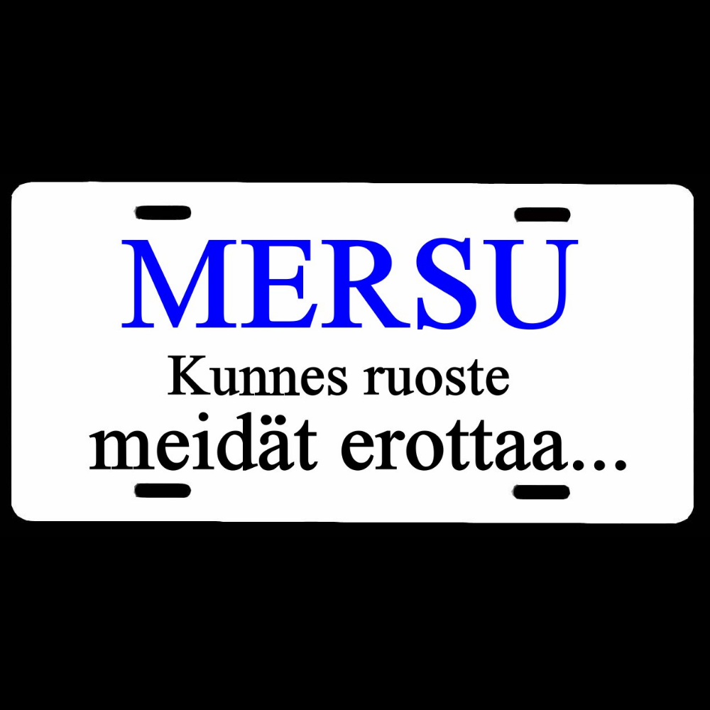 OVIKYLTTI / REKISTERIKILPI - MERSU KUNNES RUOSTE EROTTAA