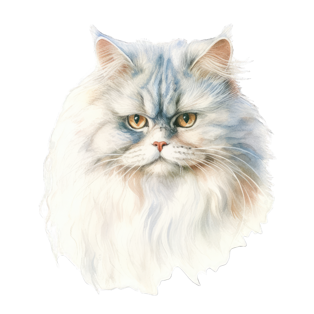 PAINATUS - Persian traditional cat