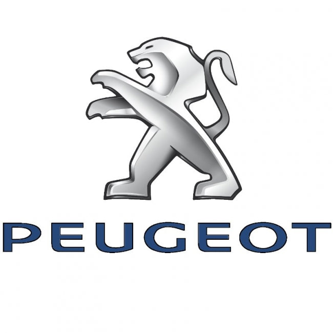 Paitakuva - Peugeot (00 310)