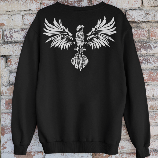 COLLEGE - FENIX LINTU (00 1781)