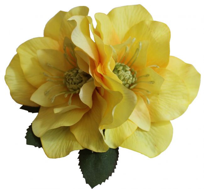 BRIGITTE Double Yellow Hellebore