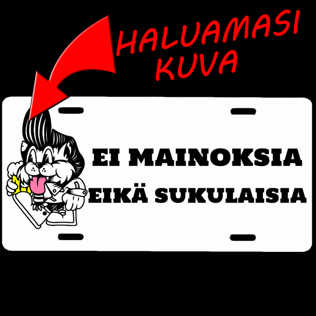 OVIKYLTTI / REKISTERIKILPI - EI MAINOKSIA (OMALLA KUVALLA)