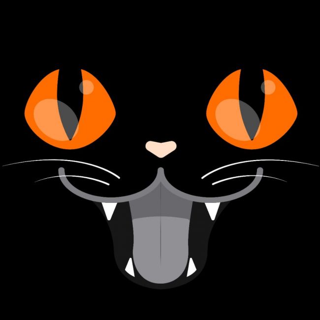 NAISTEN PAITA musta - CAT EYES