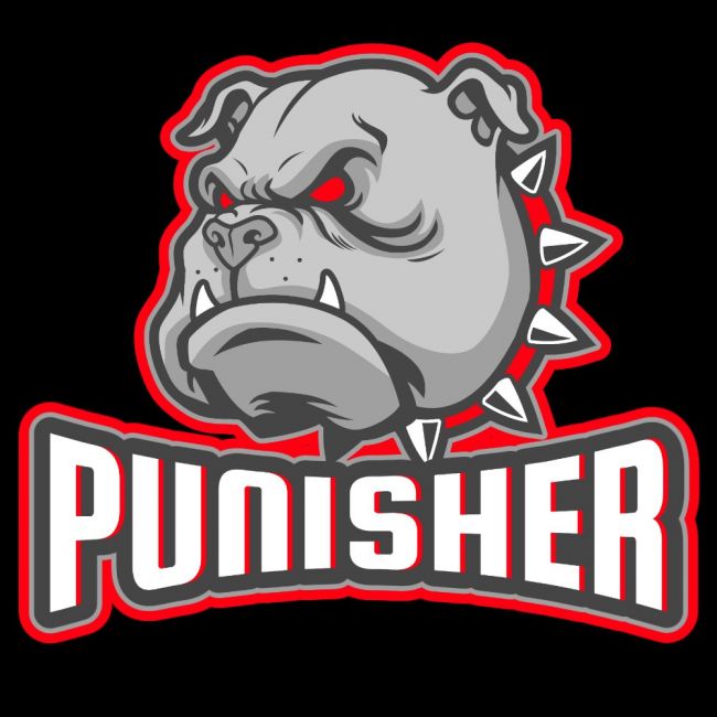 KALSARIT - PUNISHER (2866)