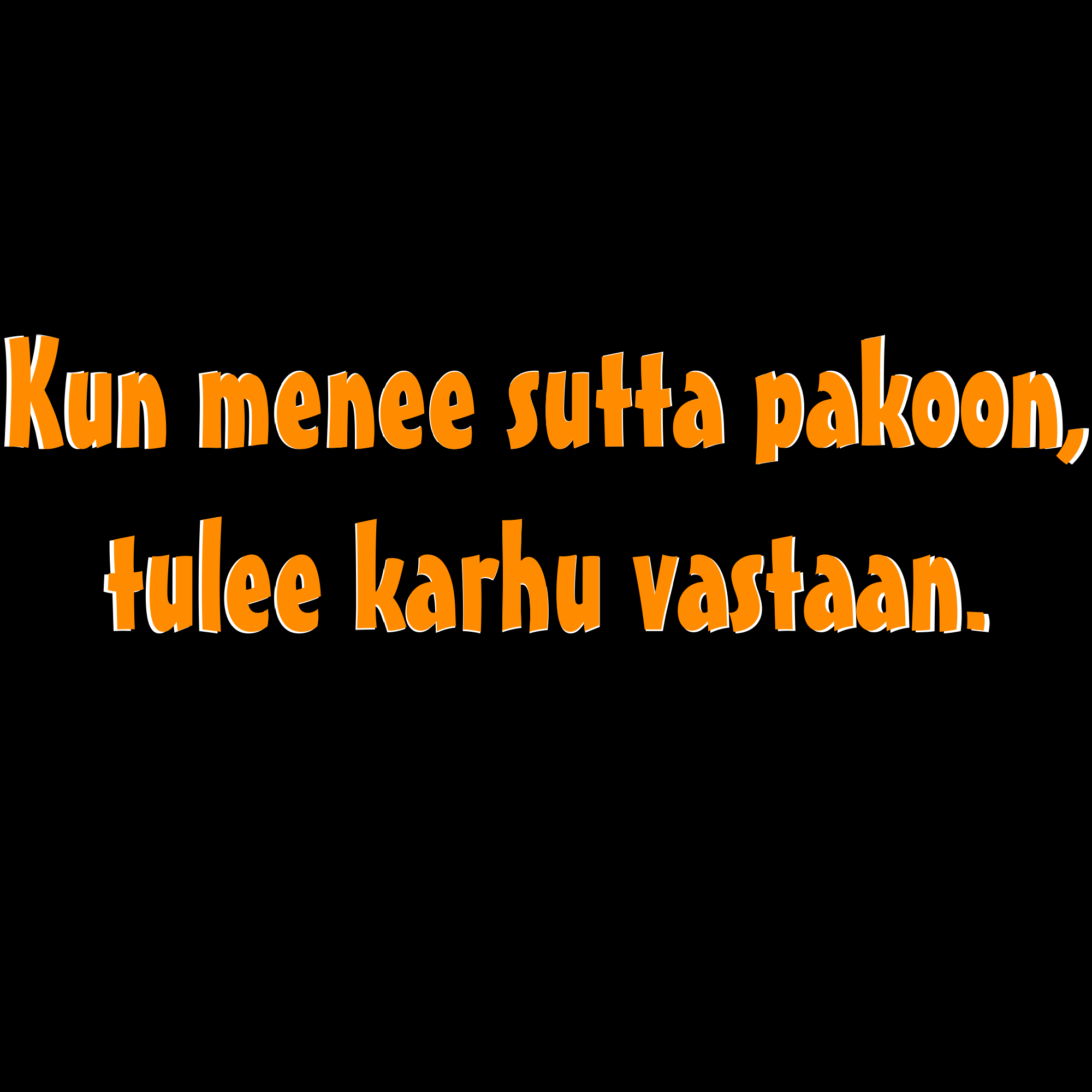 PAITAKUVA - Kun menee sutta pakoon, tulee karhu vastaan. (5036)