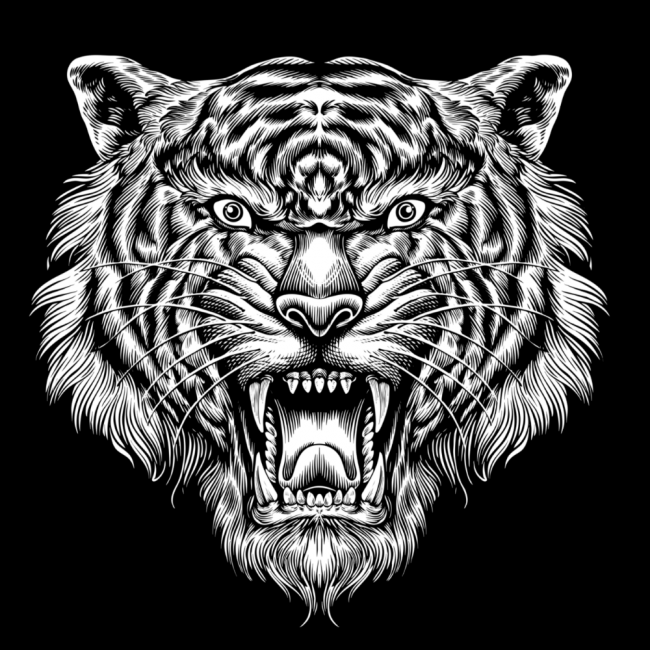 TIGER (00 2471)