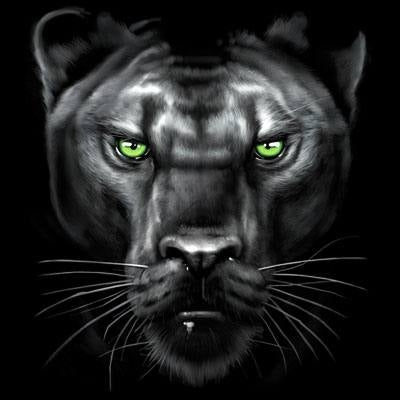 MAJESTIC PANTHER (454)