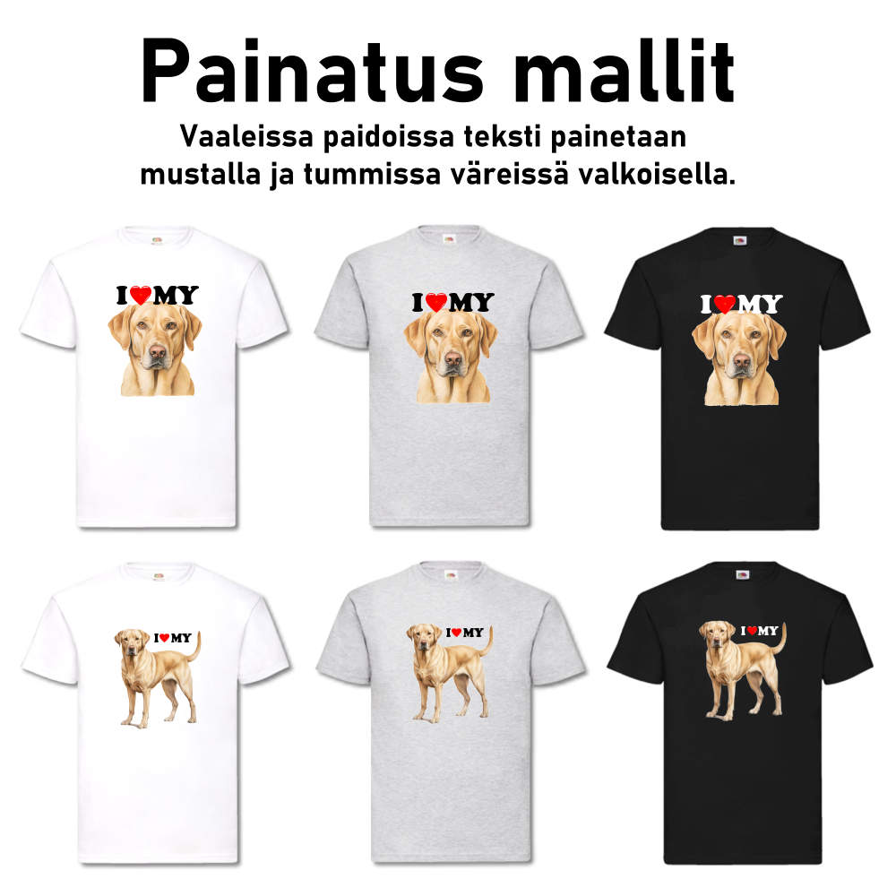 LABRATORINNOUTAJA I LOVE MY 17