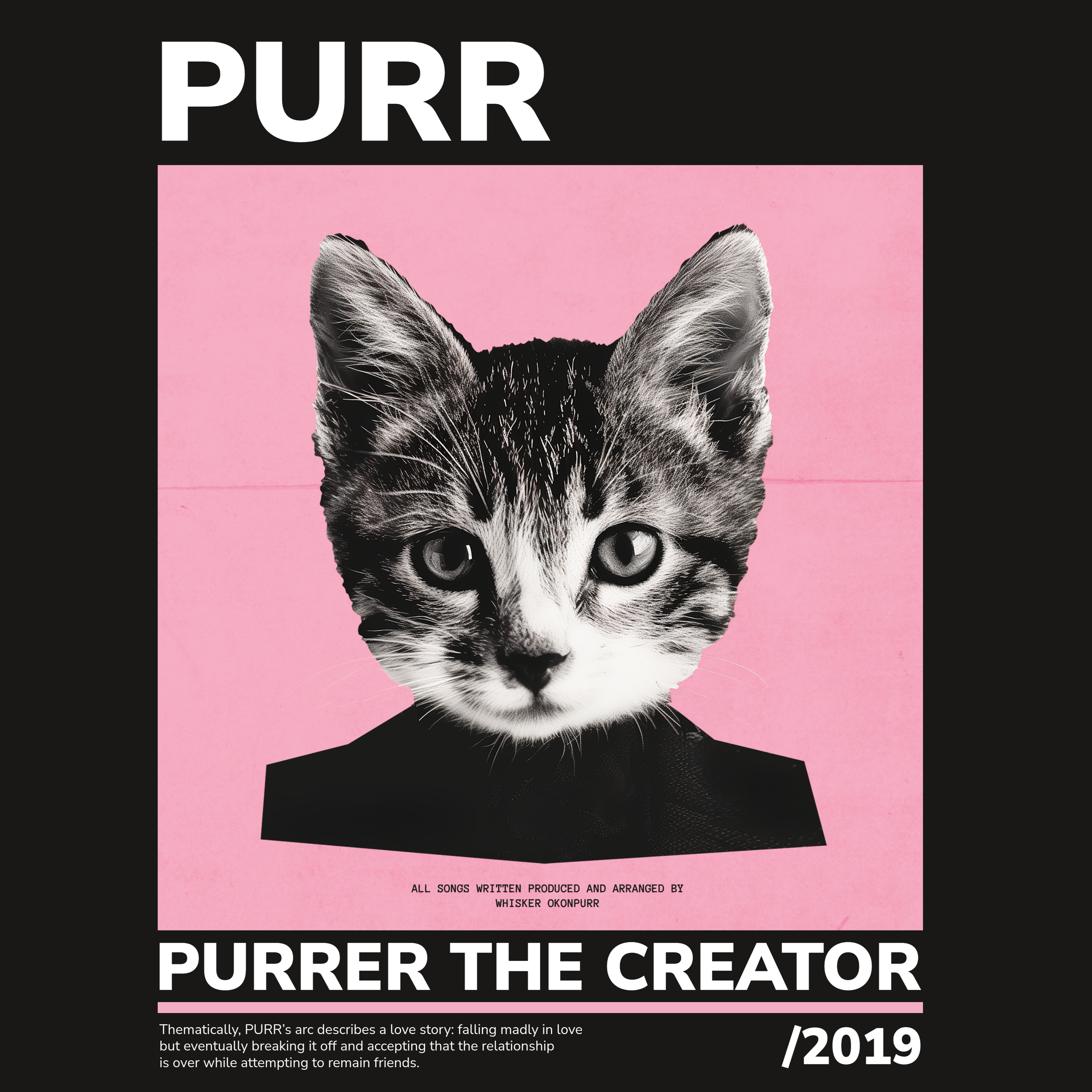 KISSABÄNDI T-PAITA MUSTA - PURR (2937)