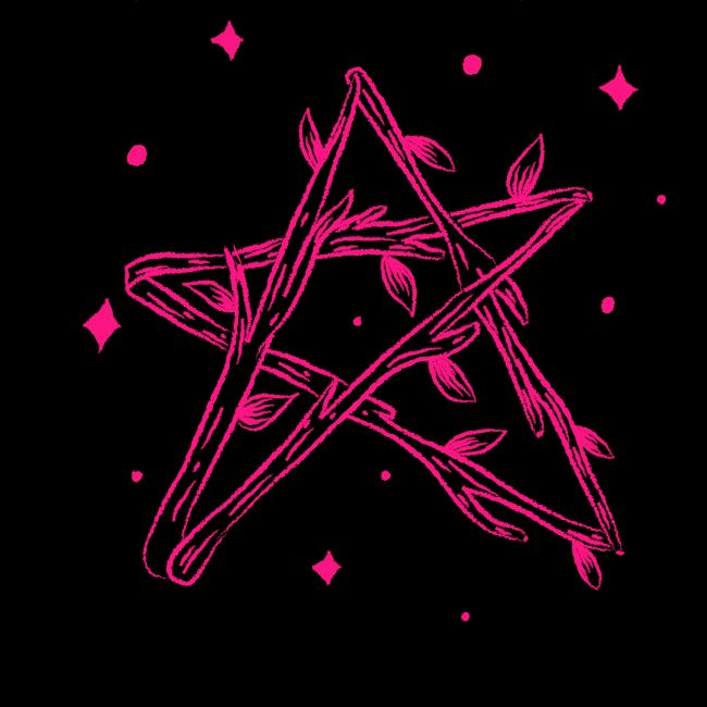 NAISTEN VETOKETJUHUPPARI MUSTA - PINK STAR (00 2078)