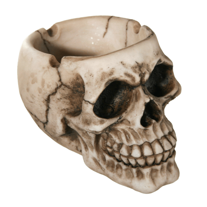 Skull Keeper – Koristekulho