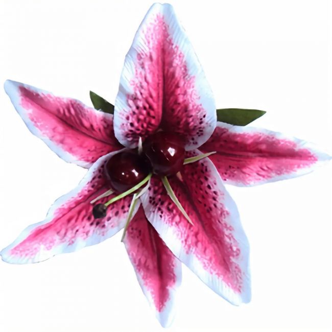 QUEENIE Stargazer Lily with Cherries