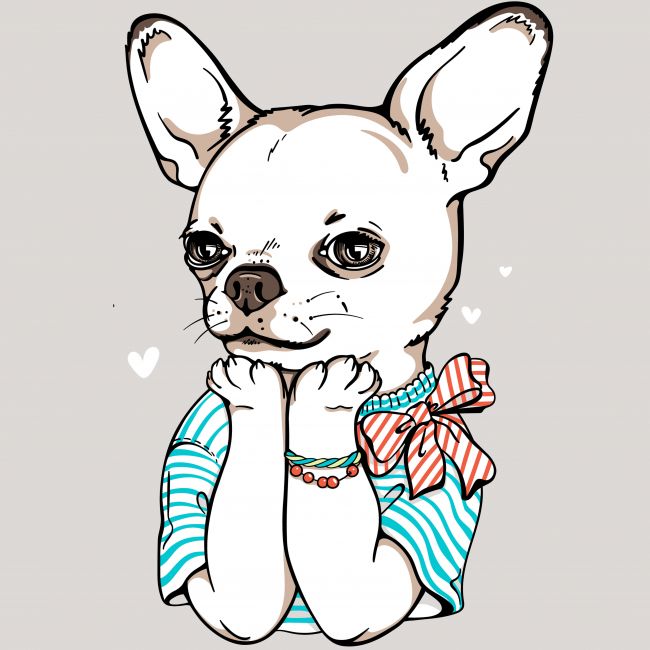 NAISTEN PAITA HARM. - CHIHUAHUA LOVE (00 559)