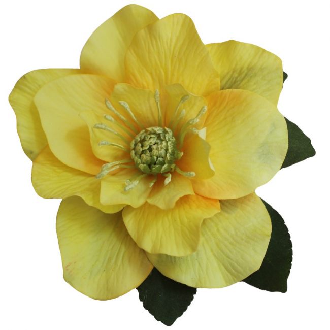 BRIGITTE Single Yellow Hellebore