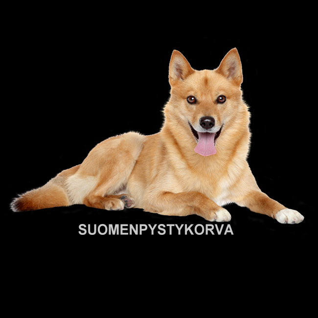 T-PAITA - SUOMENPYSTYKORVA (00 3033)