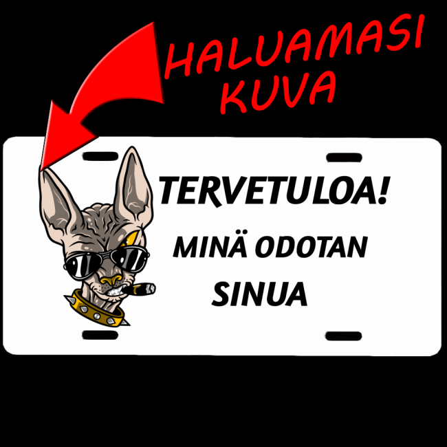 OVIKYLTTI / REKISTERIKILPI - TERVETULOA (OMALLA KUVALLA)