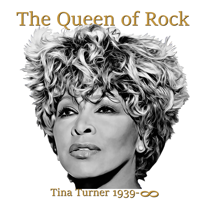 Look Toppi TINA TURNER the queen of rock (00 3011)