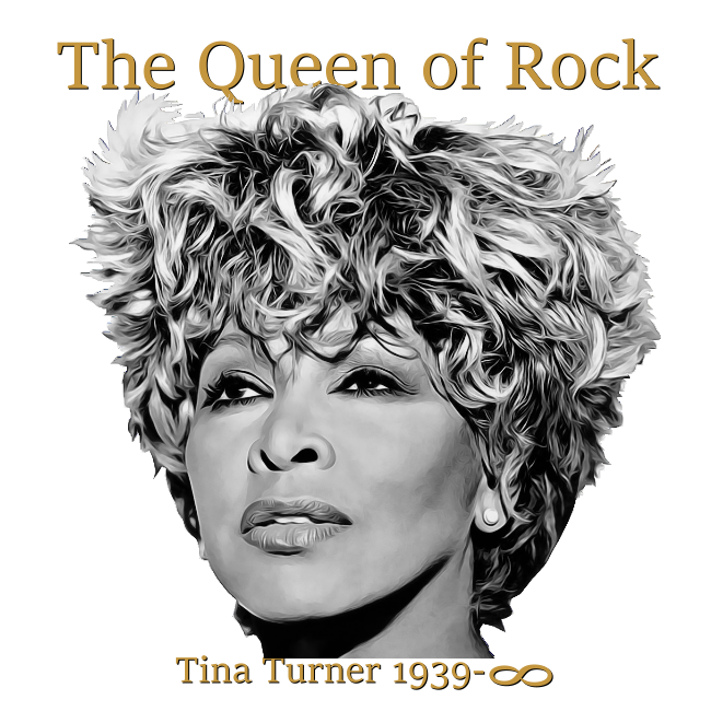Look Toppi  TINA TURNER the queen of rock (00 3011)