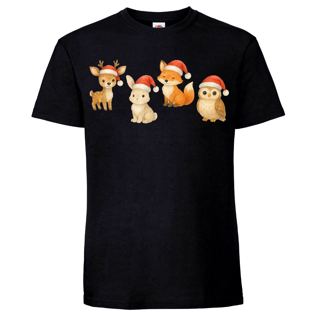 JOULUPAITA - JOULUN SÖPÖILIJÄT