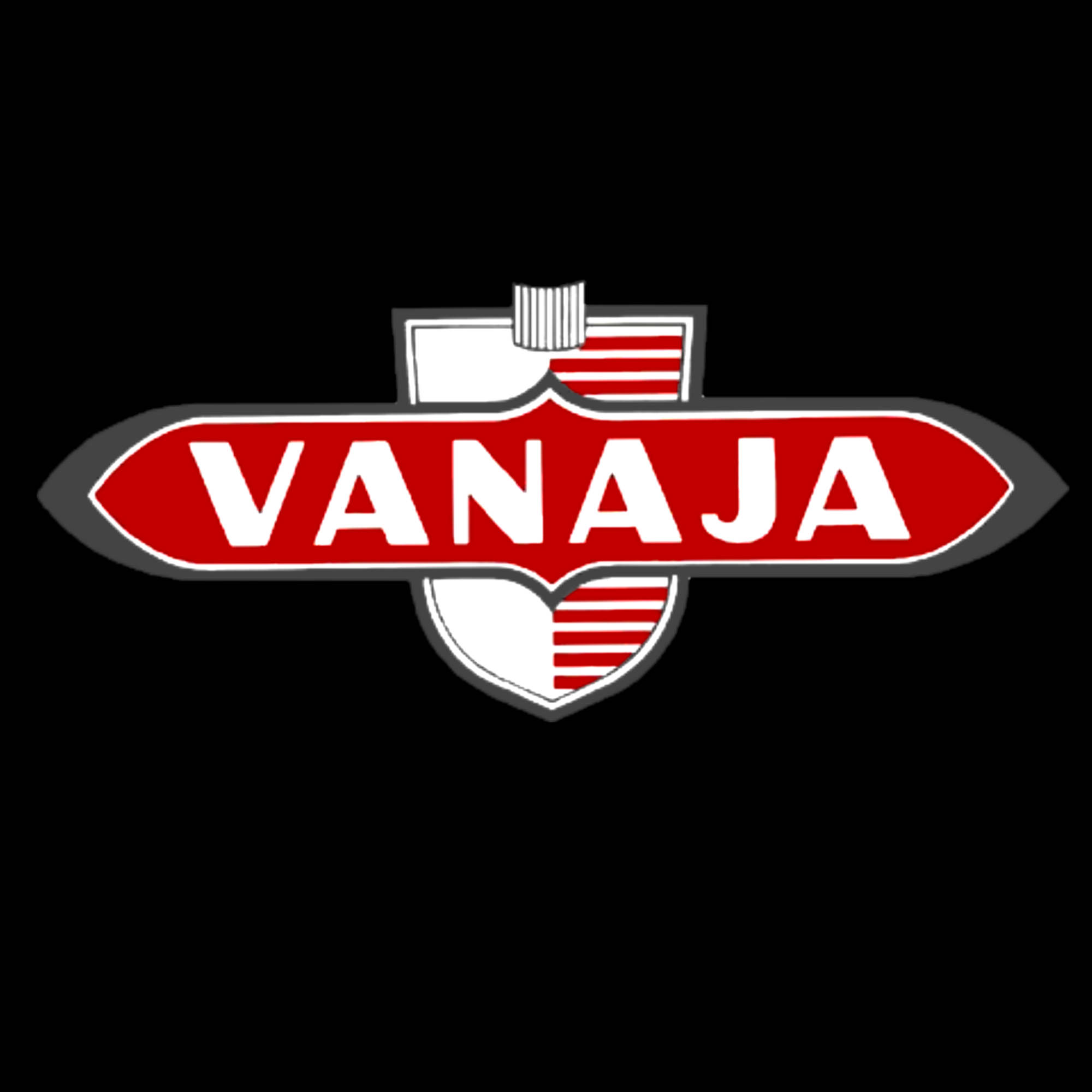 PAITAKUVA - Vanaja (2995)