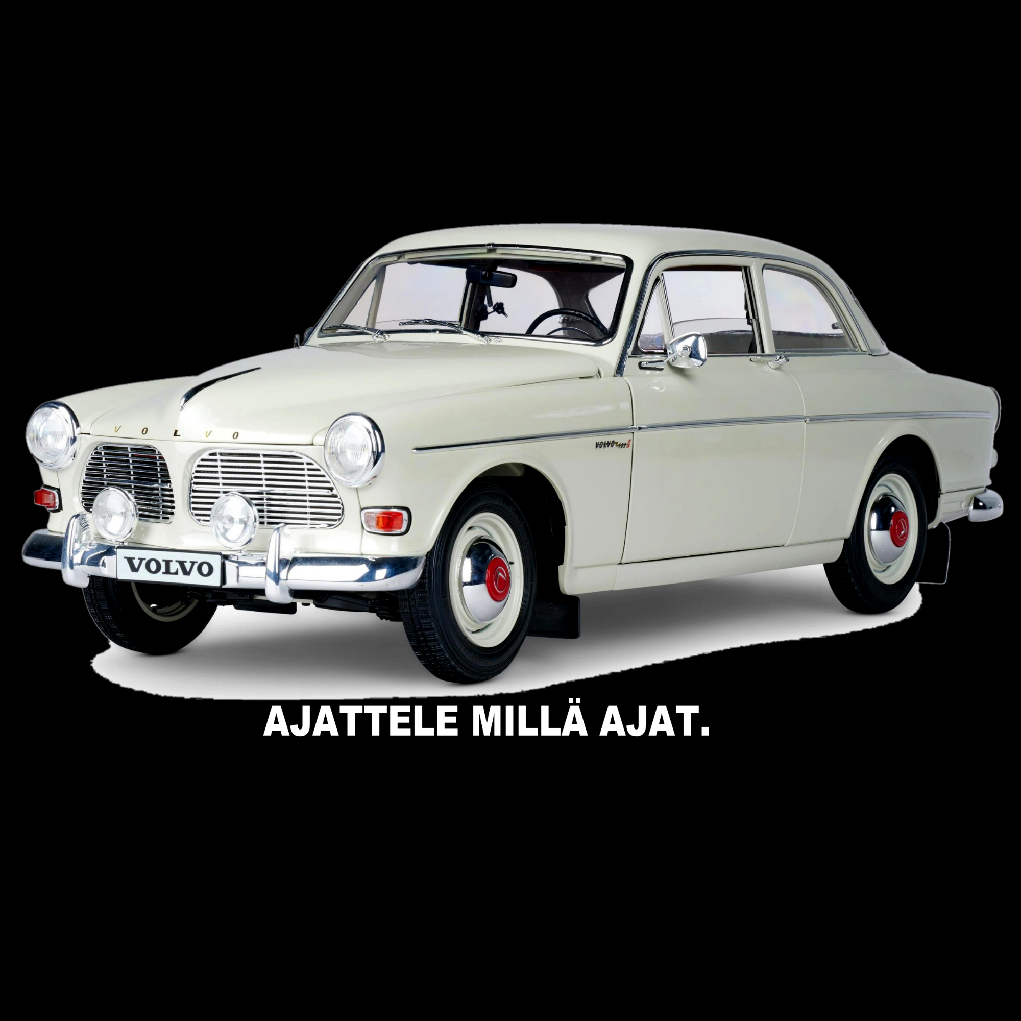 PAITAKUVA - VOLVO AMAZON (00 219)