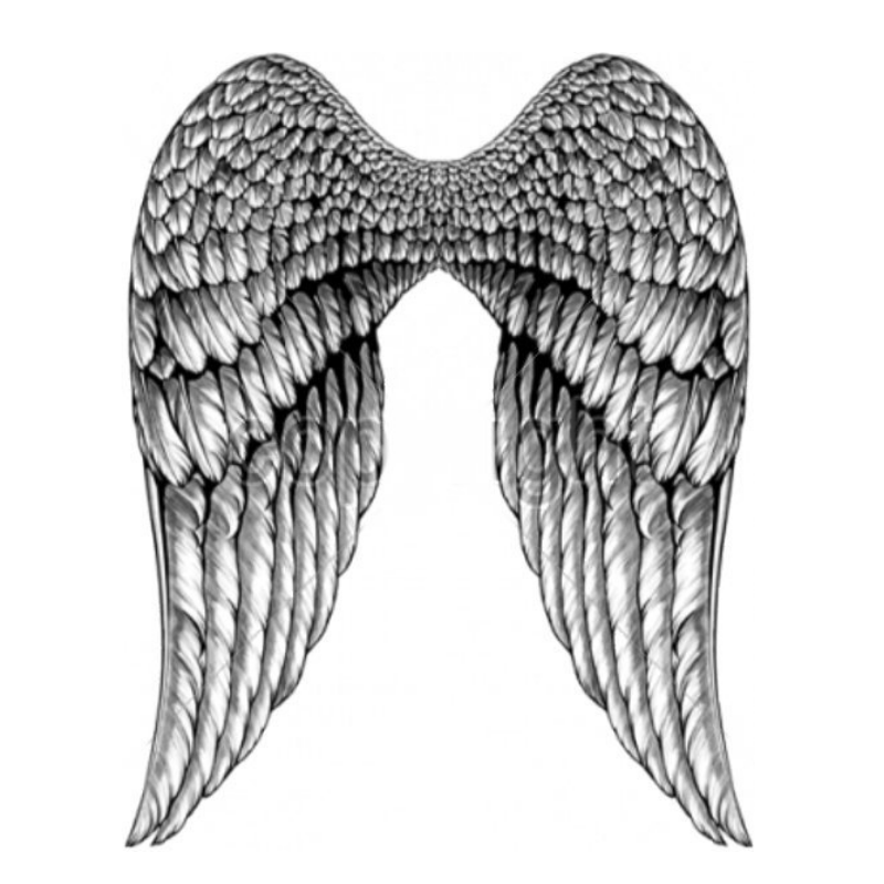 ANGEL WINGS (1067)