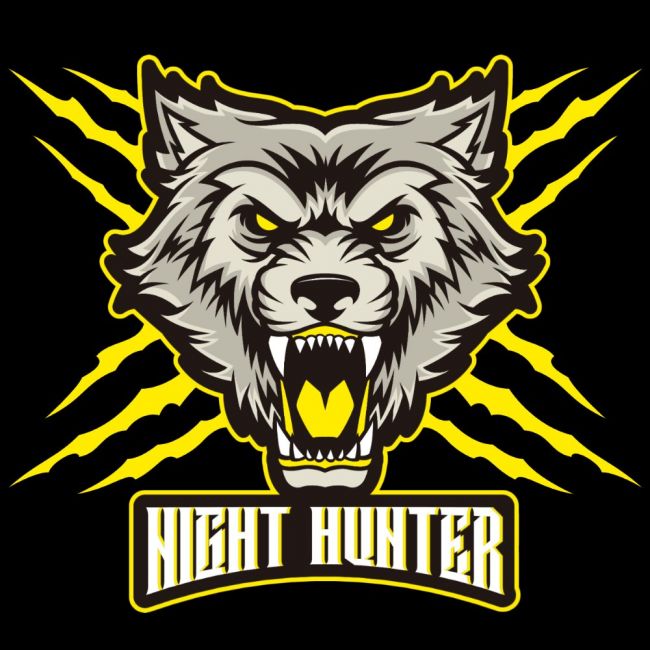 PAITAKUVA - NIGHT HUNTER (2679)