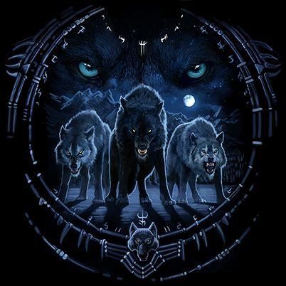 HIHATON PAITA MUSTA - WOLF TRIBAL (1082)