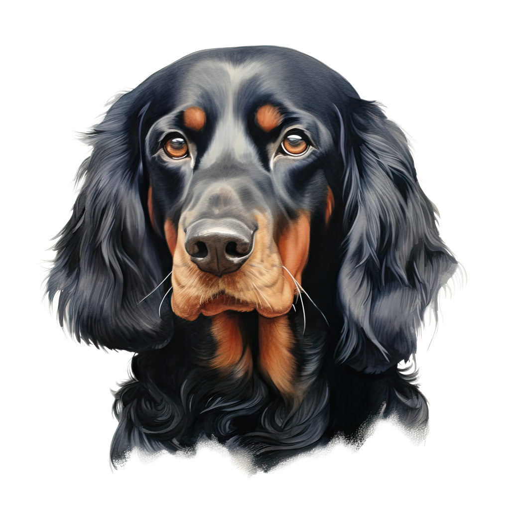 Gordon Setter / Gordoninsetteri DogBreeds 016