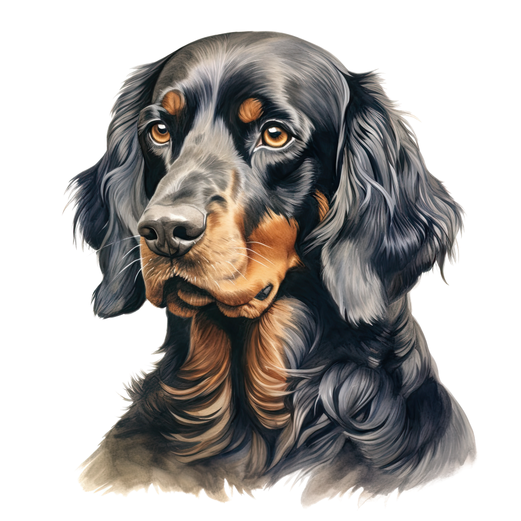 Gordon Setter / Gordoninsetteri DogBreeds 018