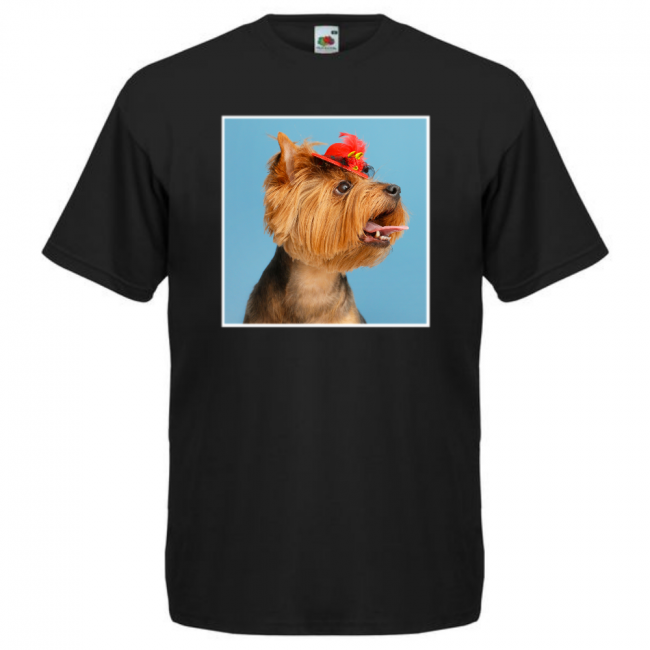 KOIRAROTU T-PAITA MUSTA - YORKSHIRENTERRIERI