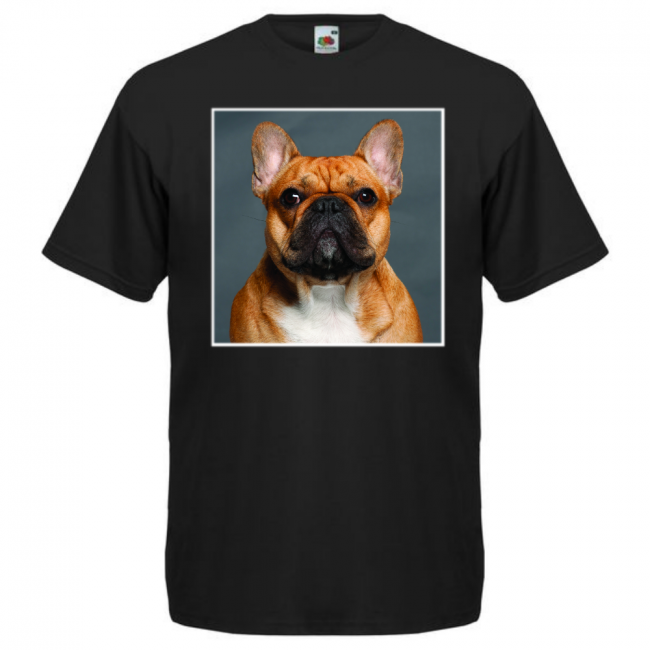 KOIRAROTU T-PAITA MUSTA - RANSKANBULLDOG (2674)