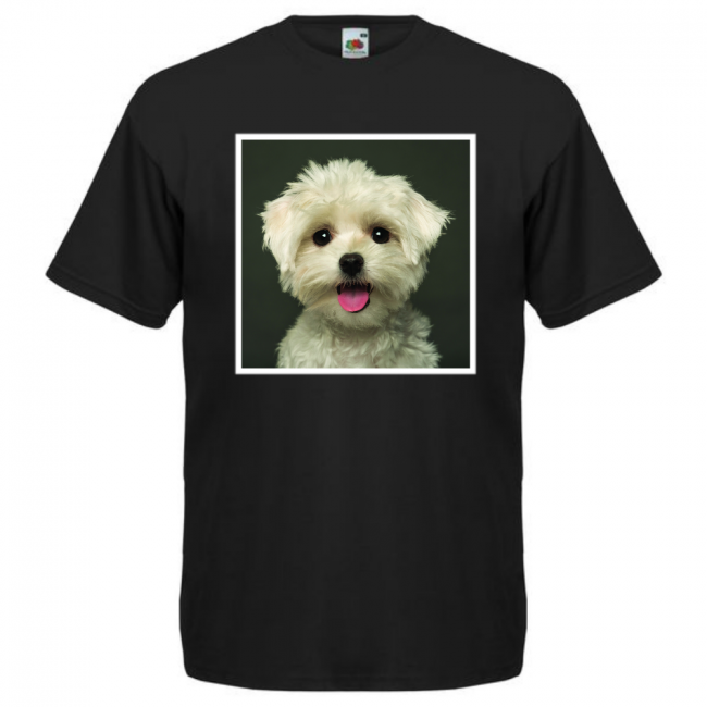 KOIRAROTU T-PAITA MUSTA - MALTESE