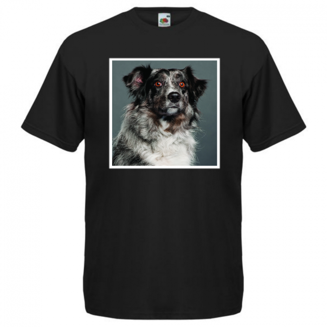 KOIRAROTU T-PAITA MUSTA - AUSTRALIAN SHEPHERD #2