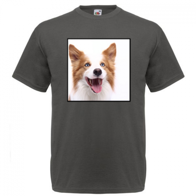 KOIRAROTU T-PAITA LIGHT GRAPHITE - BORDERCOLLIE #2