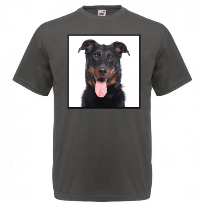 KOIRAROTU T-PAITA LIGHT GRAPHITE - AUSTRALIANKELPIE