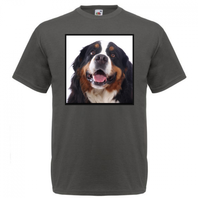 KOIRAROTU T-PAITA LIGHT GRAPHITE - BERNINPAIMENKOIRA (00 1822)