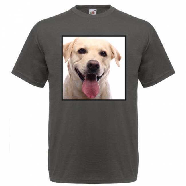 KOIRAROTU T-PAITA LIGHT GRAPHITE - VAALEA LABRADORINNOUTAJA (00 2494)