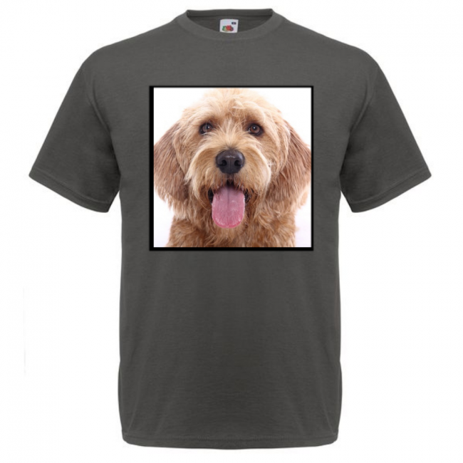 KOIRAROTU T-PAITA LIGHT GRAPHITE - Bretagnenbassetti